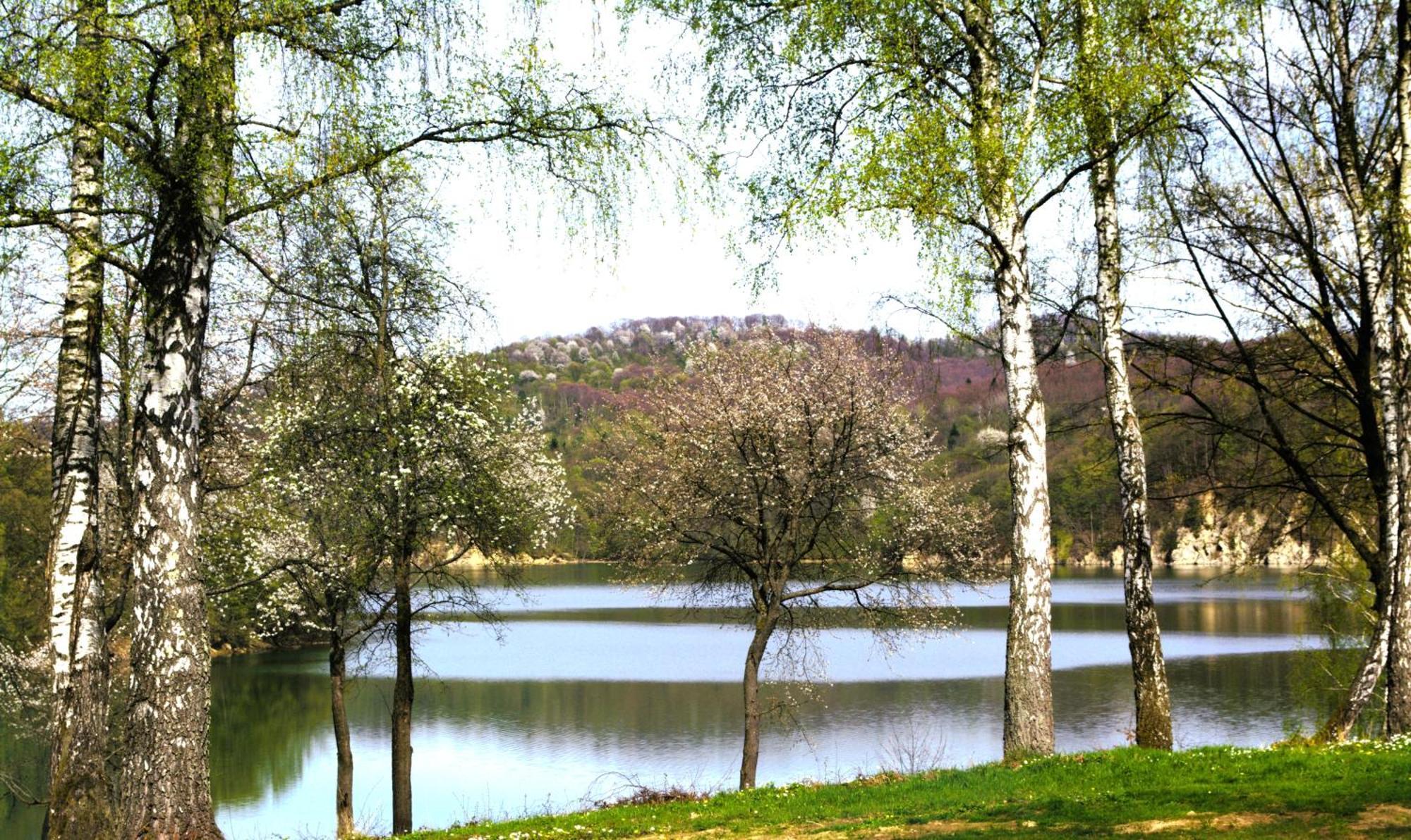 Ferienhaus Brama Sanu - Z Prywatna Linia Brzegowa Jeziora Solinskiego Olchowiec