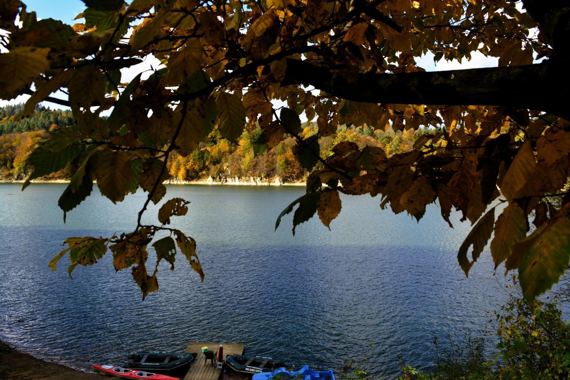 Ferienhaus Brama Sanu - Z Prywatna Linia Brzegowa Jeziora Solinskiego